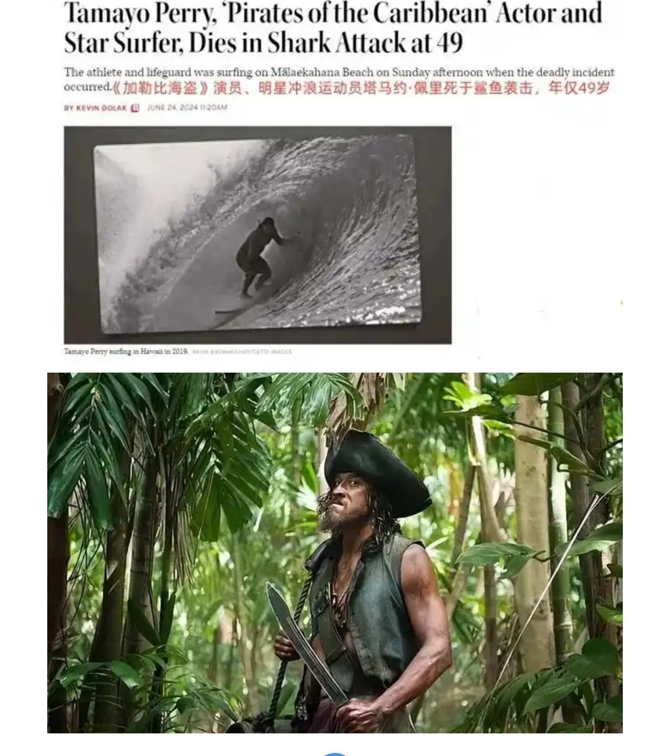 《加勒比海盜》演員佩里沖浪時遭鯊魚攻擊身亡