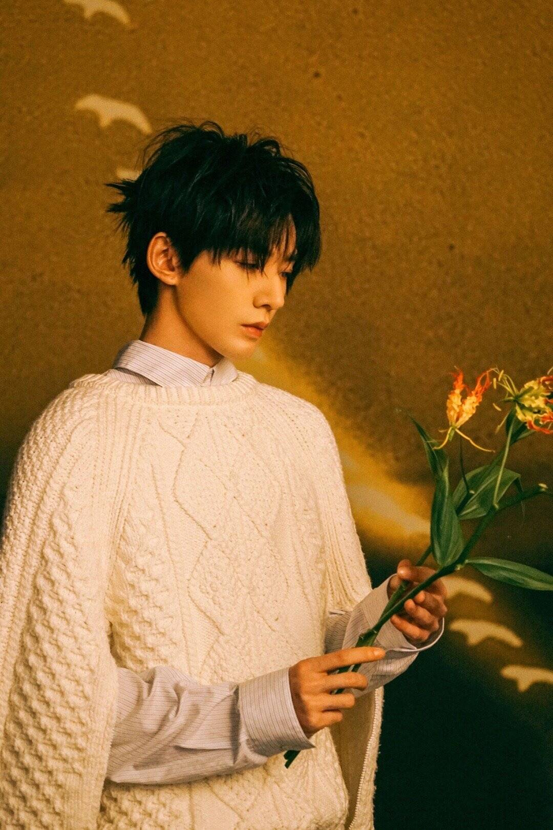 c6d2e322dba9f26b3bb8ad942a2f86ac_720.png 鄧為費(fèi)加羅封面/芒果體育