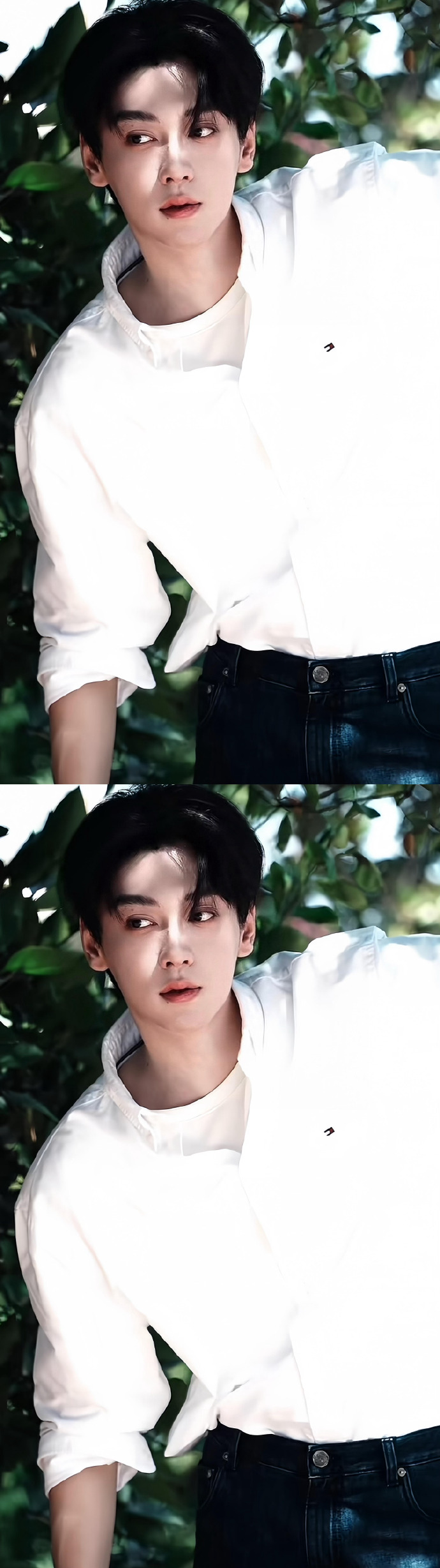 田栩?qū)幑ぷ魇覔Q頭像了/芒果體育